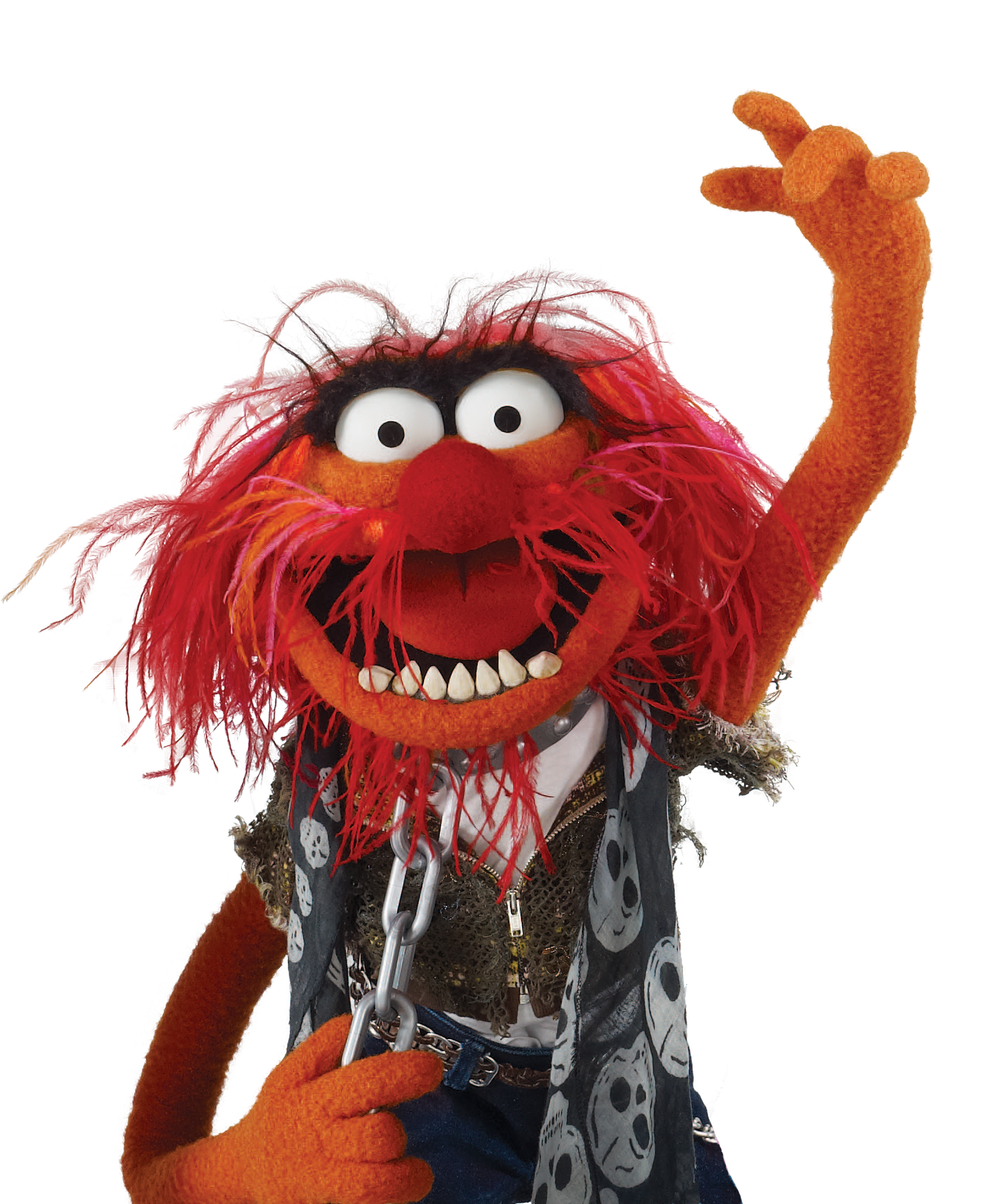 Which muppet do you look like? : AskReddit