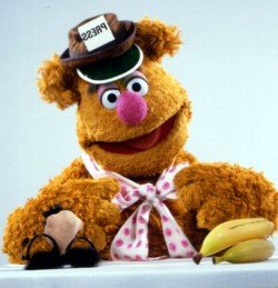 Funny  Fozzie