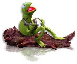 Kermit 03